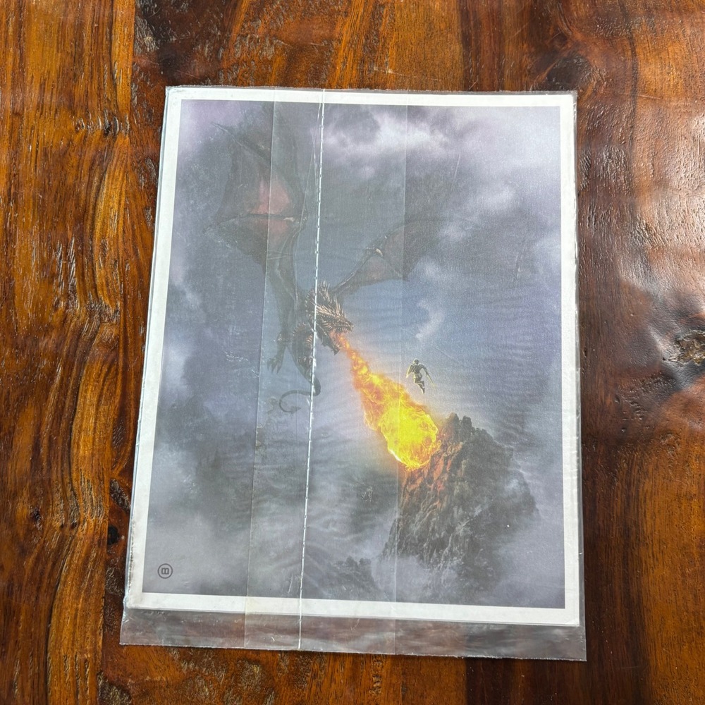 Epic Dragon Fire Fantasy Art Print 8x10 Warrior Battle Scene Matte Finish